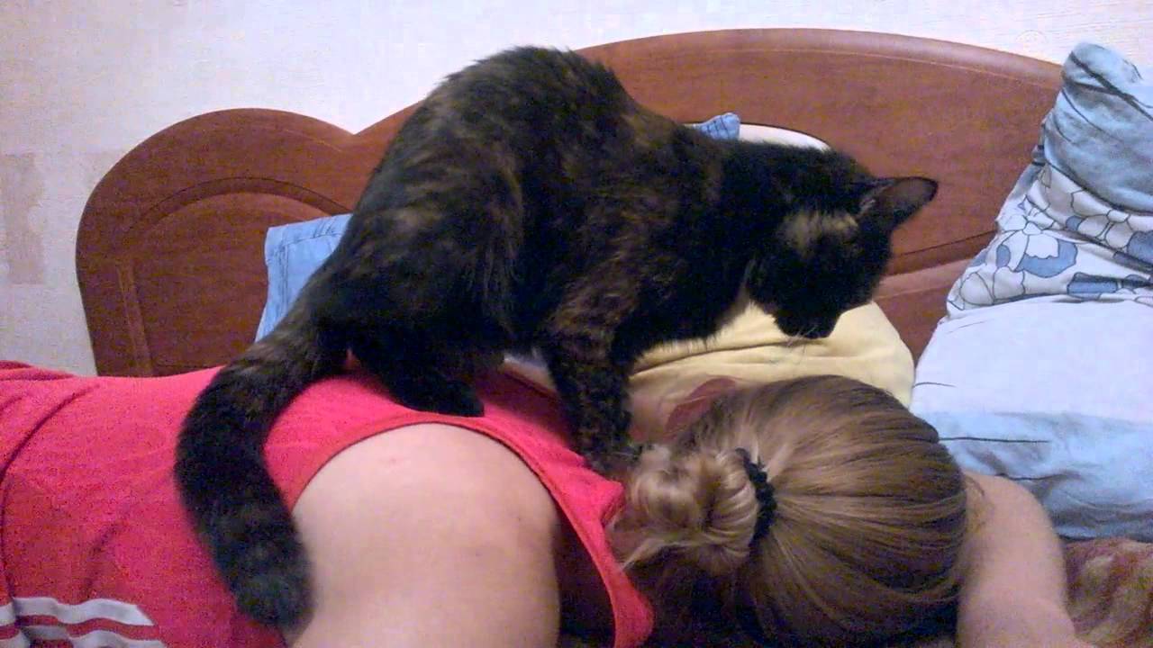 Как Засолить Кота Делать Тебе Куни Как Засолить Кота Делать Тебе Куни