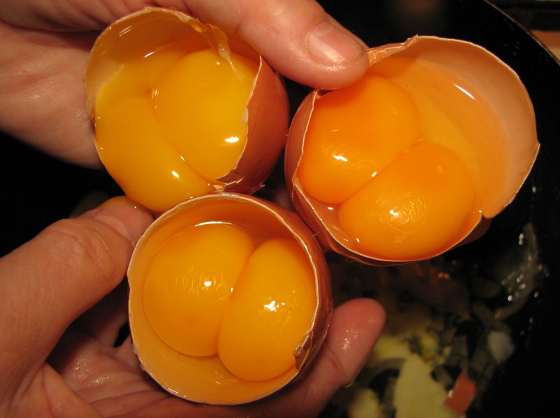 Двухжелтковые куриные яйца